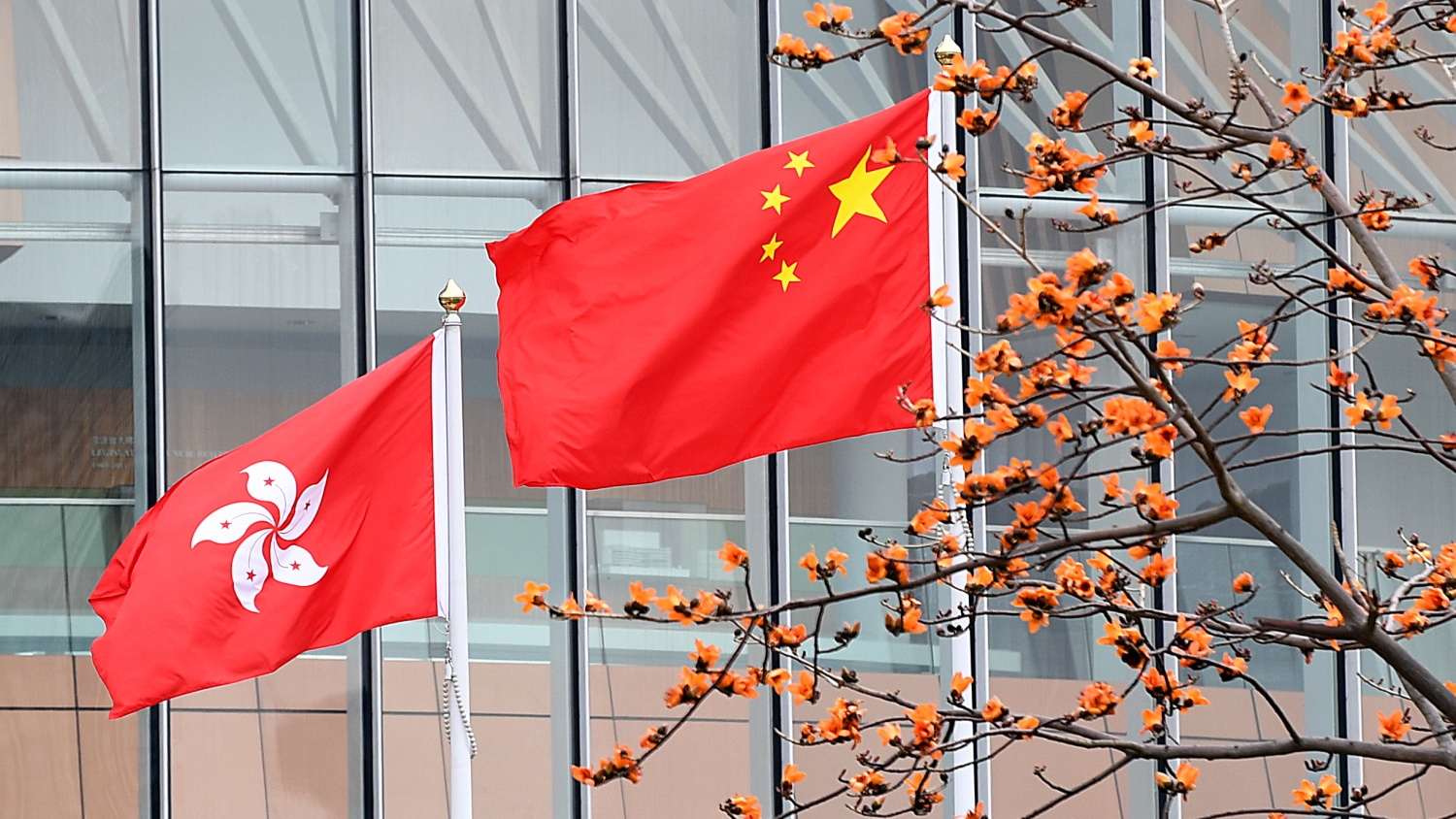 【來論】只許以色列狂轟亂炸 不準(zhǔn)香港立國安法？