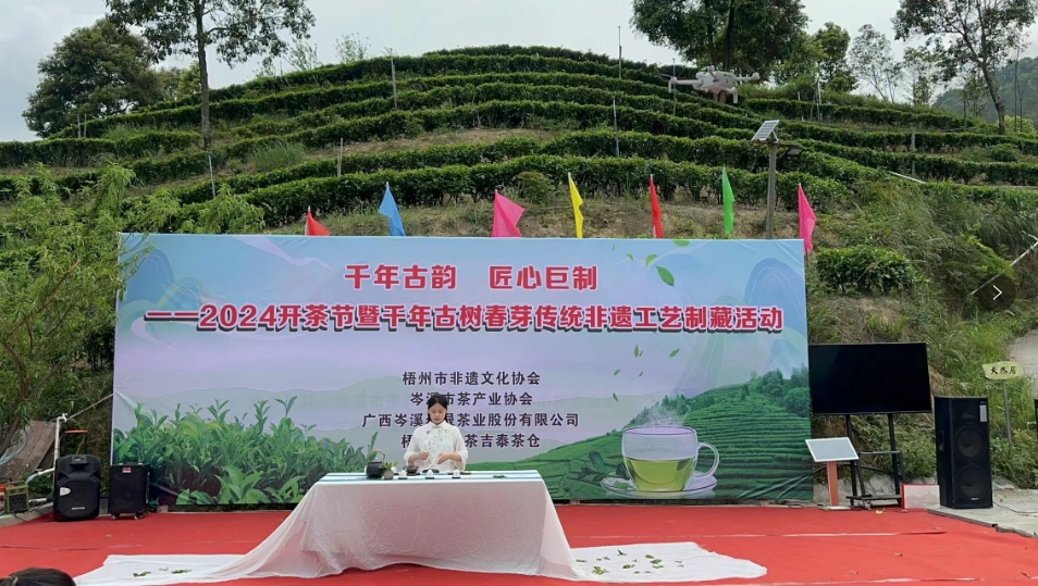 深岑商會助力鄉(xiāng)村振興   三月三歌聲唱響茶業(yè)發(fā)展新質(zhì)生產(chǎn)力