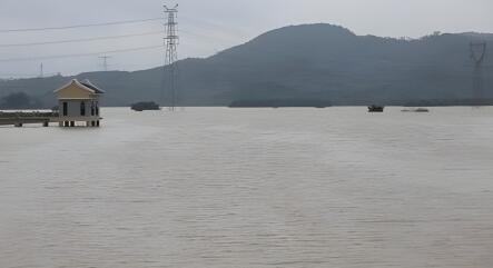 轉(zhuǎn)擴(kuò)！遭遇暴雨如何應(yīng)對(duì)？避險(xiǎn)指南來(lái)了