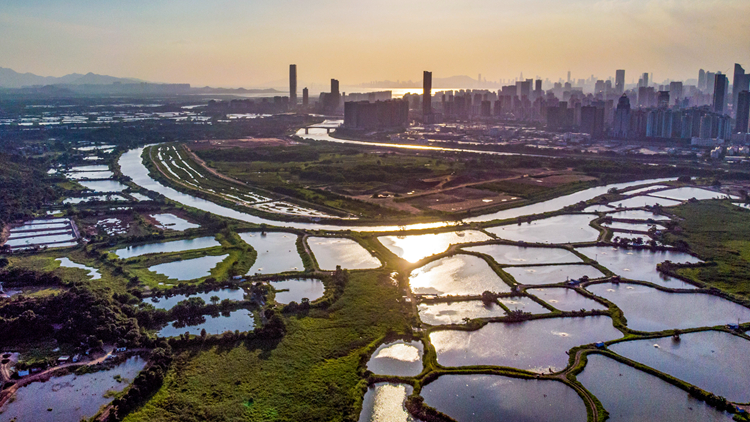 環(huán)諮會(huì)小組：可有條件通過(guò)新田/落馬洲環(huán)評(píng)報(bào)告 並提出7條件8建議