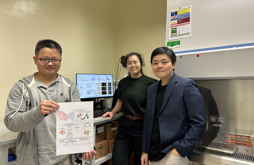 中大團(tuán)隊(duì)大數(shù)據(jù)分析研究老化神經(jīng)元 為腦退化癥精準(zhǔn)醫(yī)療提供新方向