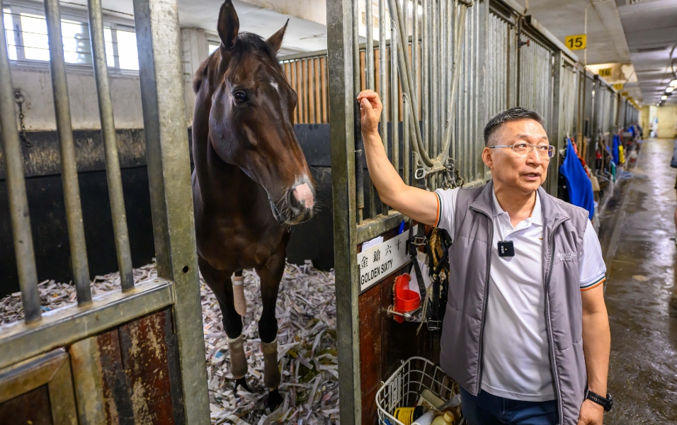 富衛(wèi)保險(xiǎn)冠軍賽馬日雲(yún)集歷來(lái)最多外隊(duì)馬 「金鎗六十」力爭(zhēng)冠軍一哩賽四連冠