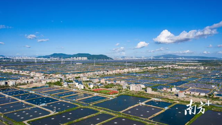 擦亮「金字招牌」 珠海再增一示範區(qū)