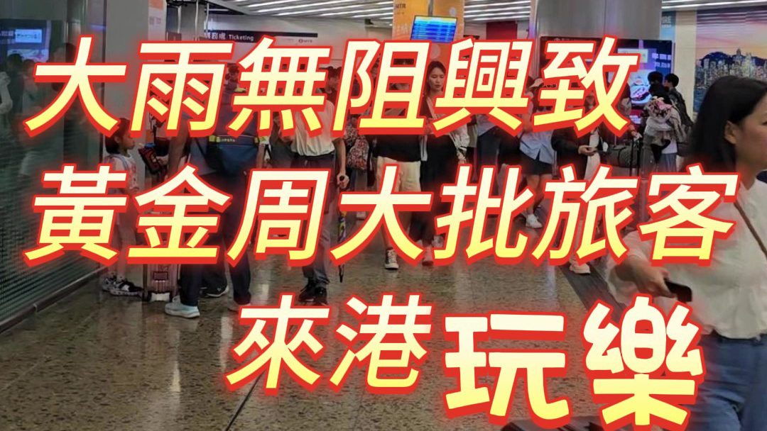 有片｜大雨無(wú)阻興致！黃金周大批旅客來(lái)港玩樂(lè)