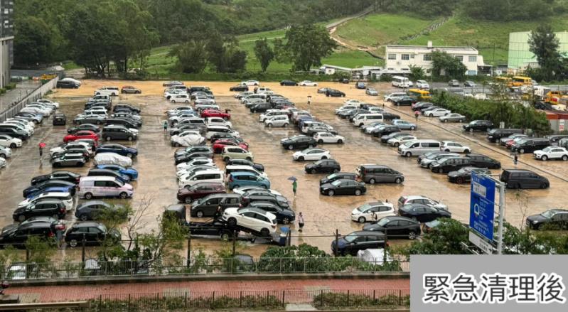 麥美娟：西貢出動(dòng)12隊(duì)關(guān)愛隊(duì)協(xié)助處理暴雨善後工作