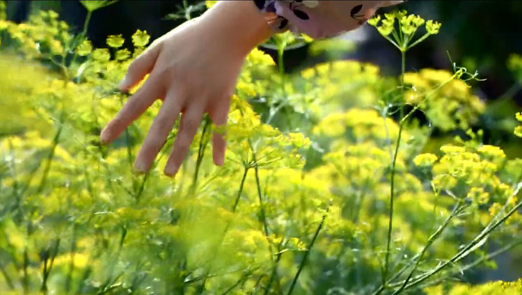 有片 | 生產(chǎn)力局：創(chuàng)新， 改寫一切