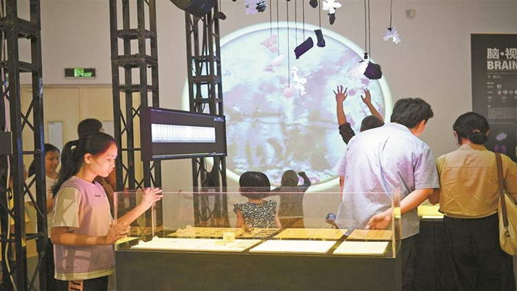 深圳設(shè)計(jì)周生動(dòng)詮釋「設(shè)計(jì)讓生活更美好」