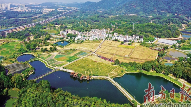 廣州繁華城市與和美鄉(xiāng)村交相輝映