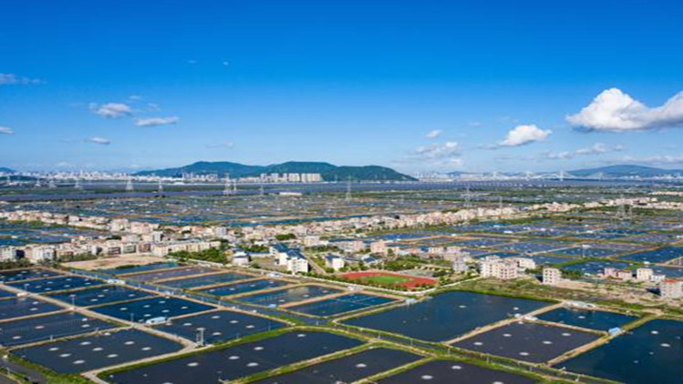 擦亮「金字招牌」 珠海再增一示範區(qū)