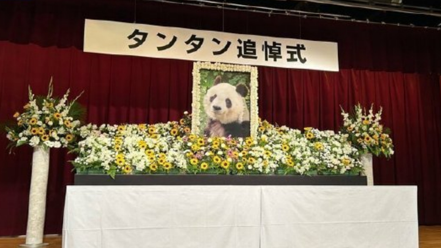 日本為旅日大熊貓「旦旦」舉行追悼會(huì)