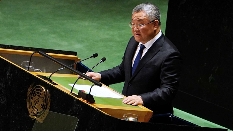 聯(lián)大通過決議認定巴勒斯坦符合聯(lián)合國會員國資格 中方：歡迎這一歷史性決議