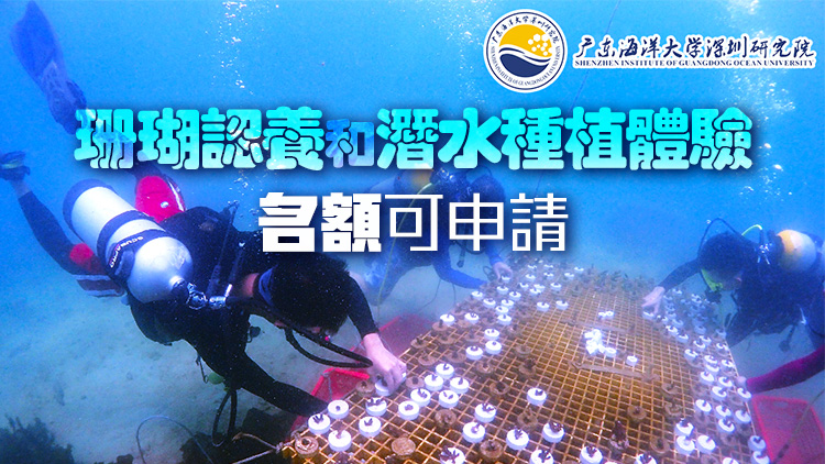 定好鬧鈴！5月14日12點(diǎn)317株珊瑚認(rèn)養(yǎng)和30個免費(fèi)潛水種植體驗(yàn)名額等你來搶！