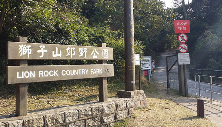 62歲男子行獅子山失蹤 被發(fā)現倒臥樹林不治