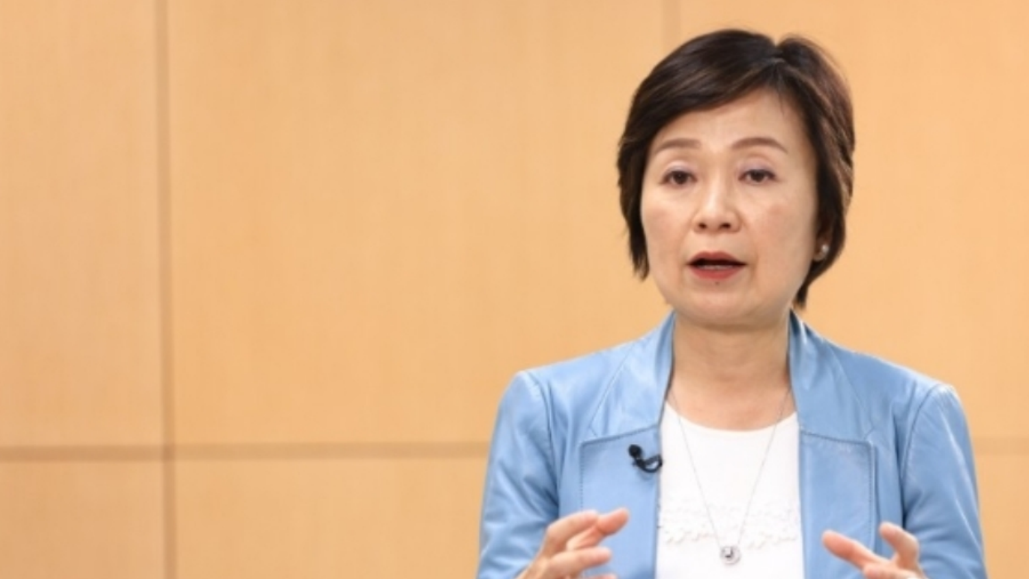 蔡若蓮：把握黃金十年 香港高教擴(kuò)容提質(zhì)