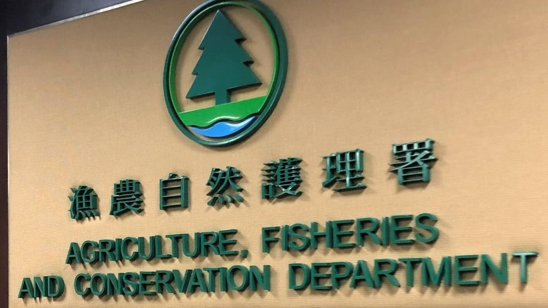 漁護(hù)署籲市民勿不當(dāng)放生 適時(shí)派員巡查