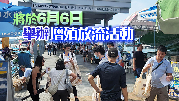 漁護(hù)署巡查西貢公眾碼頭等放生熱點(diǎn) 無發(fā)殘酷對待動(dòng)物情況