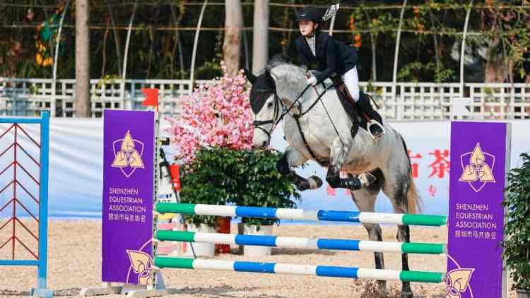 首屆深灣國際馬文化產業(yè)博覽交易會亮相第二十屆文博會