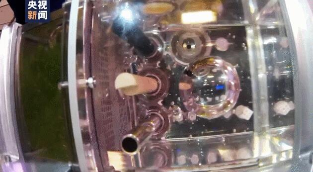 「太空養(yǎng)魚」後續(xù)來了！入住空間站20餘天 4條斑馬魚狀態(tài)良好