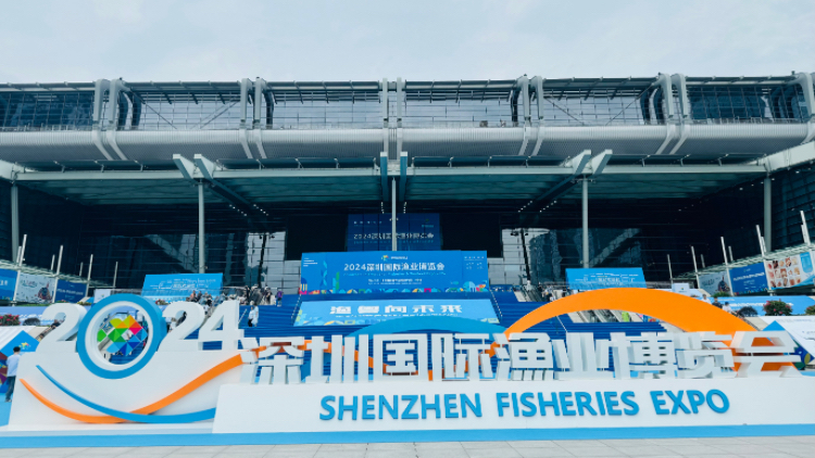 達(dá)成超61億元意向交易額，主會(huì)場(chǎng)入場(chǎng)觀眾81532人次！2024深圳漁博會(huì)圓滿收官