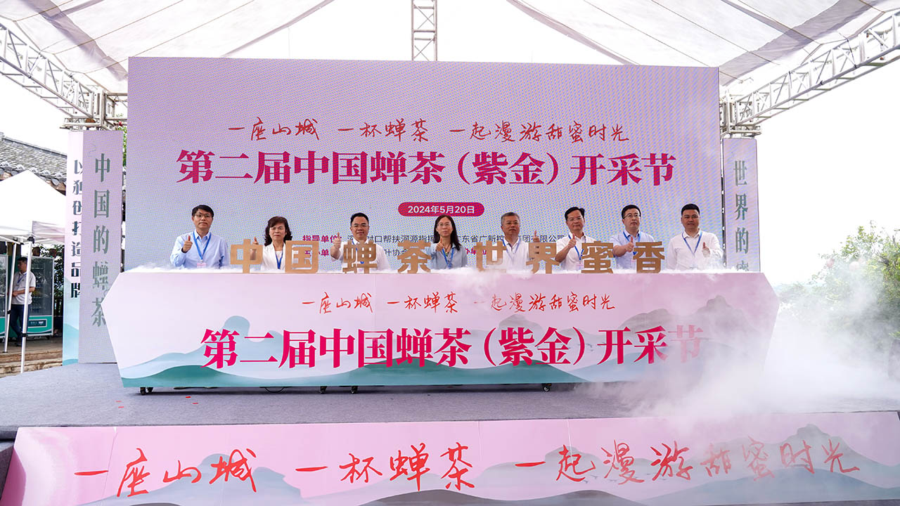 中國(guó)的蟬茶，世界的蜜香！河源紫金舉辦第二屆中國(guó)蟬茶開採(cǎi)節(jié)