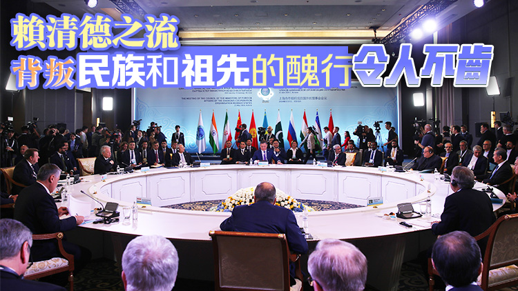 王毅：「臺獨(dú)」分裂活動(dòng)是臺海和平的最大破壞性因素