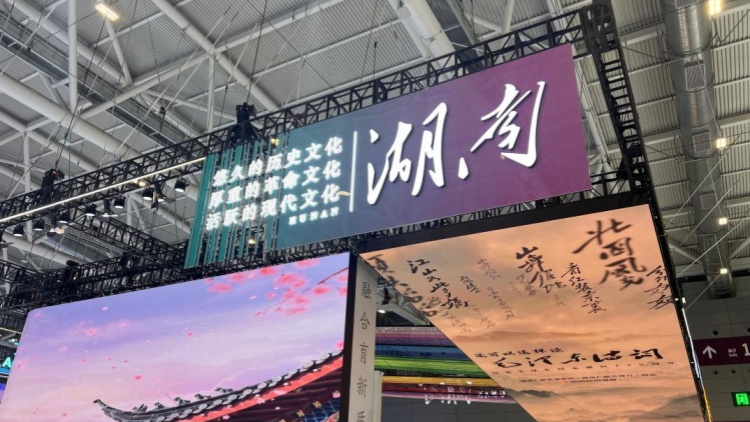 「中國(guó)V谷」馬欄山成文博會(huì)「頂流」