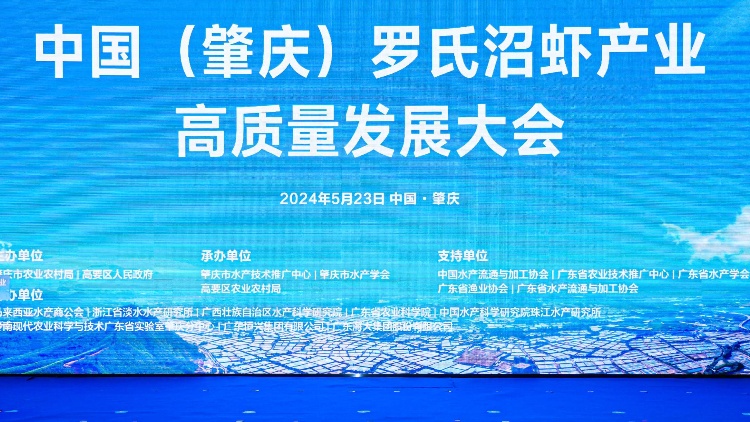 肇慶再擦亮「中國羅氏沼蝦之鄉(xiāng)」招牌 