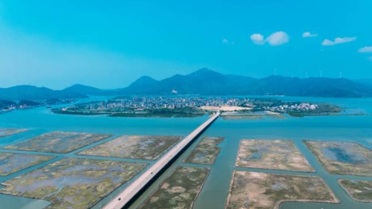 惠州紅樹林增至1.16萬畝！城市生態(tài)和產(chǎn)業(yè)「齊飛」