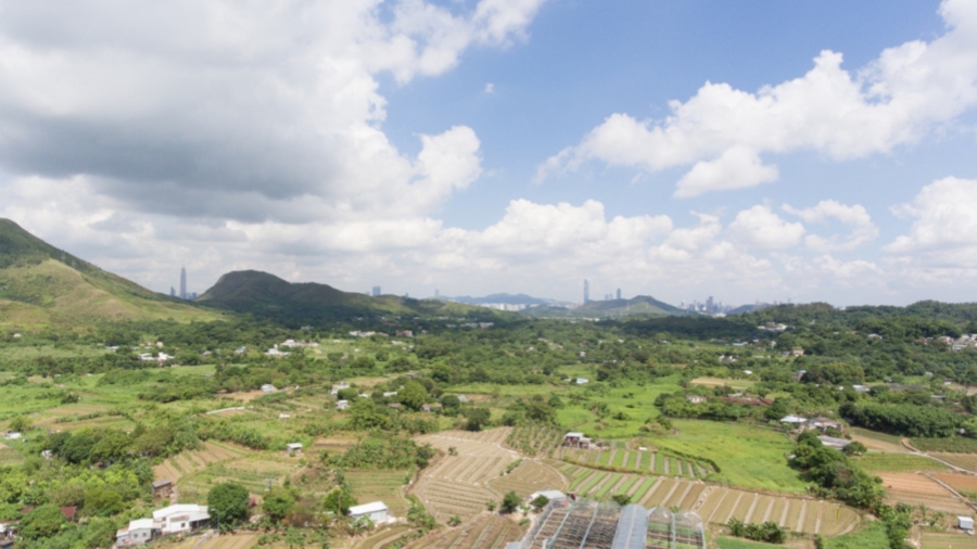 古洞南農(nóng)業(yè)園第二期擬收回15.6公頃土地