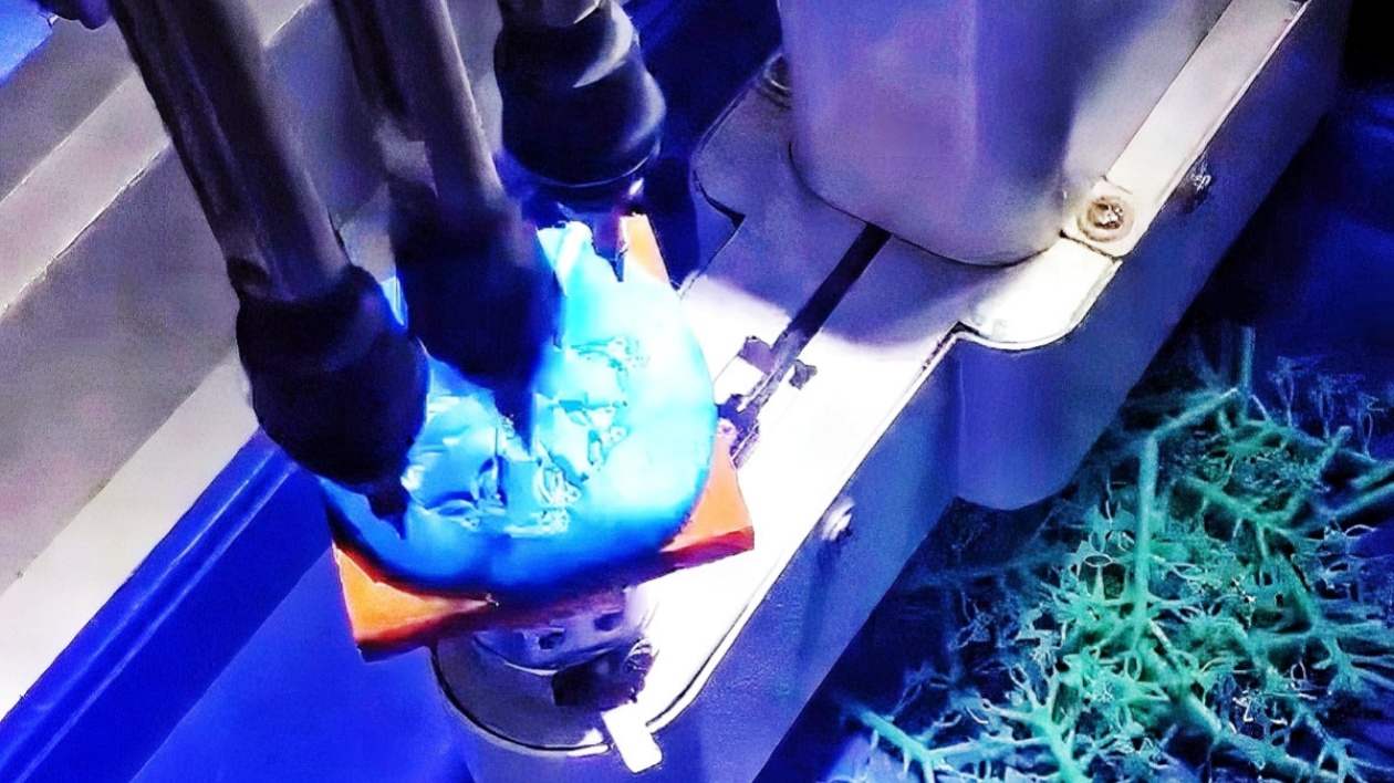 桂賀州推動黃金珠寶產(chǎn)業(yè)技術(shù)改造升級