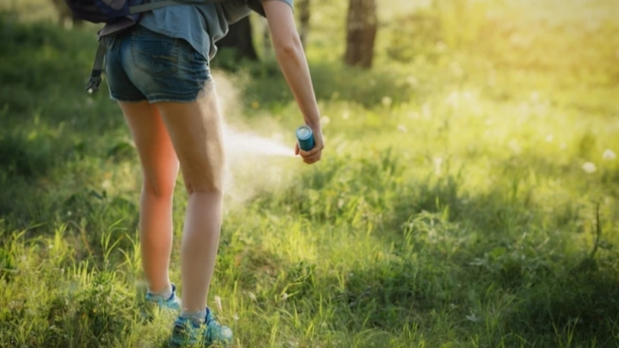 驅(qū)蚊水推薦邊只好？消委會教你辨