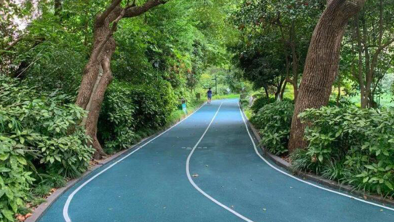 廣東建成健身步道超2.68萬公里 深圳這個(gè)做法獲「點(diǎn)讚」