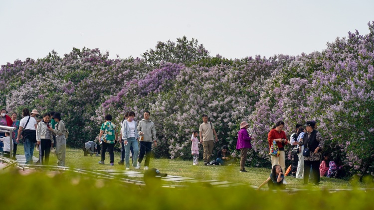 粵港澳大灣區(qū)至哈爾濱快速班列順利首發(fā)