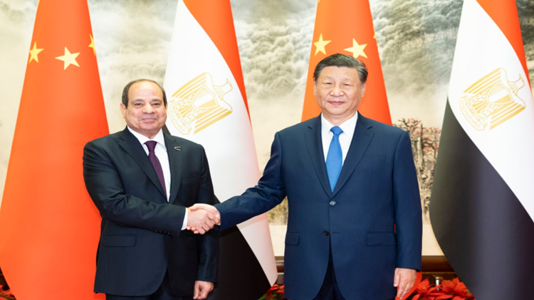 習(xí)近平同埃及總統(tǒng)塞西會(huì)談