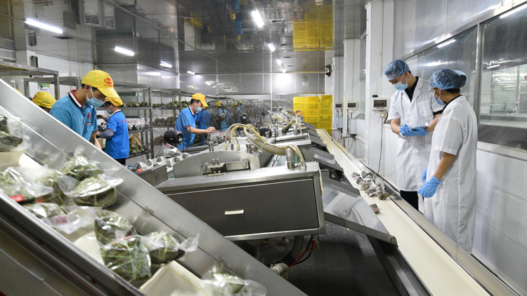 端午臨近糉飄香 廣州海關(guān)助力粵式糉子?！铬r」出口