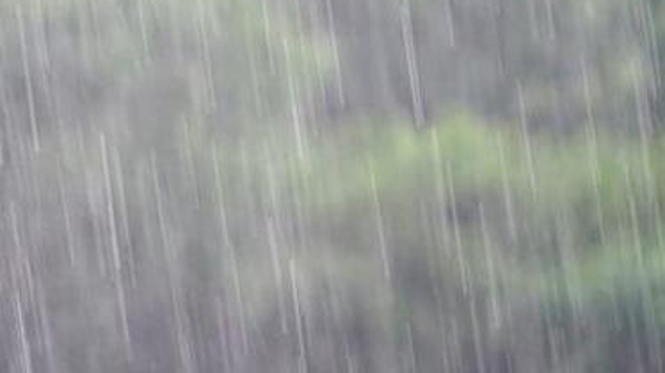 新一輪強(qiáng)降雨來(lái)襲！廣東啟動(dòng)防汛Ⅳ級(jí)應(yīng)急響應(yīng)