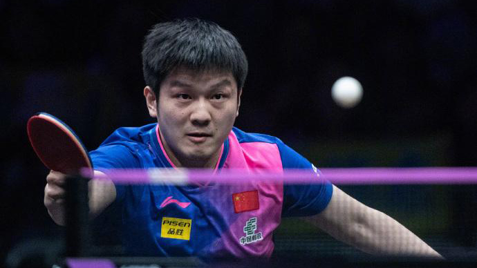 祝賀！樊振東奪得WTT重慶站男單冠軍