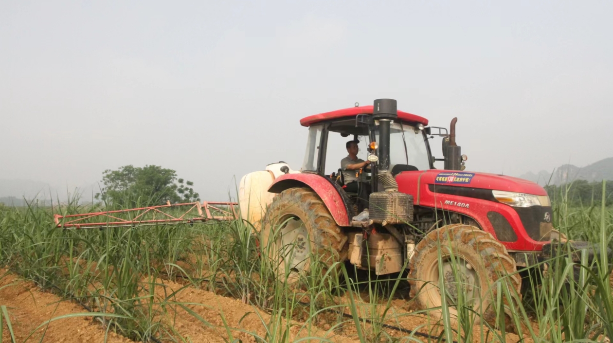 桂扶綏以新質(zhì)生產(chǎn)力賦能甘蔗機械化新程