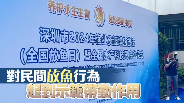 「全國(guó)放魚(yú)日」來(lái)了！港深兩地共護(hù)海洋生態(tài) 數(shù)百萬(wàn)魚(yú)苗安家深圳鹽田海域