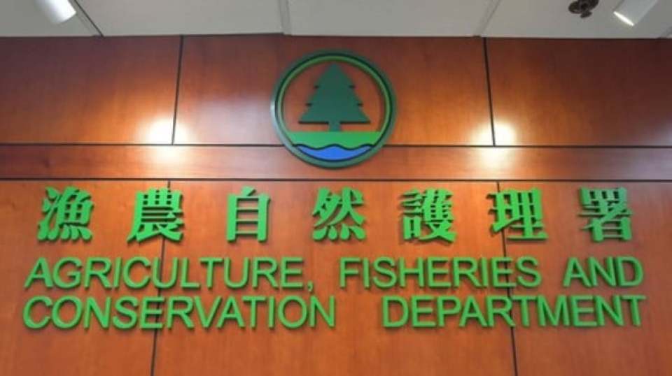 漁護(hù)署寵物領(lǐng)養(yǎng)日 8日起一連兩日在啟德AIRSIDE商場(chǎng)舉辦