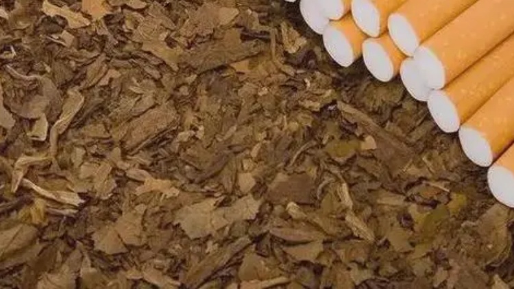 食環(huán)署巡查市面多個零售點 發(fā)現(xiàn)一宗售賣咀嚼煙草產(chǎn)品個案