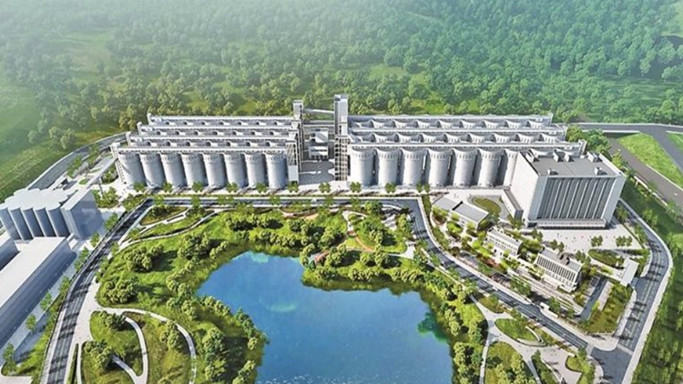 深汕糧食儲(chǔ)備庫(kù)將打造國(guó)家一流糧食儲(chǔ)備、物流、加工園區(qū)