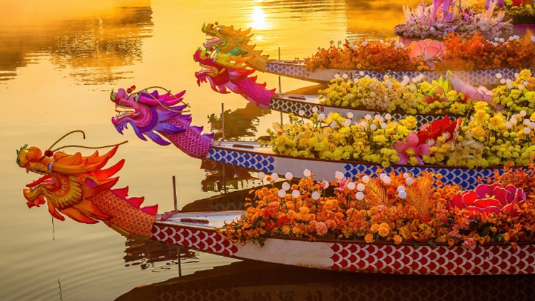 大灣區(qū)人為何對(duì)「扒龍船」這麼上頭？