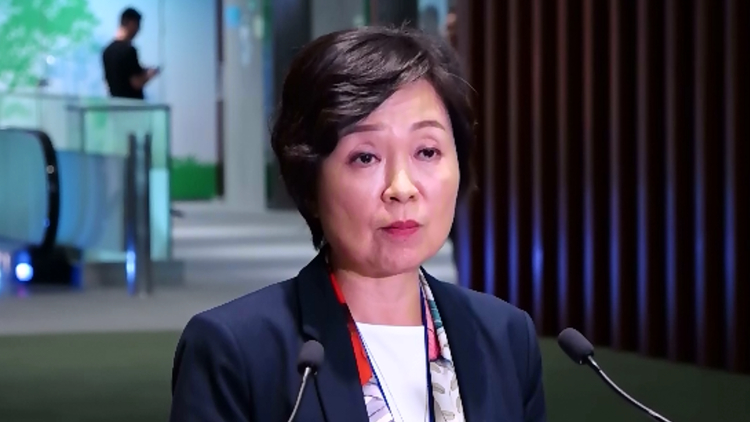 蔡若蓮：政府就港大事宜成立調(diào)研小組 主要目的是釐清事實協(xié)調(diào)溝通