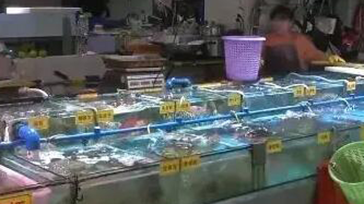 5月廣東CPI同比漲幅擴大 消費市場運行總體平穩(wěn)