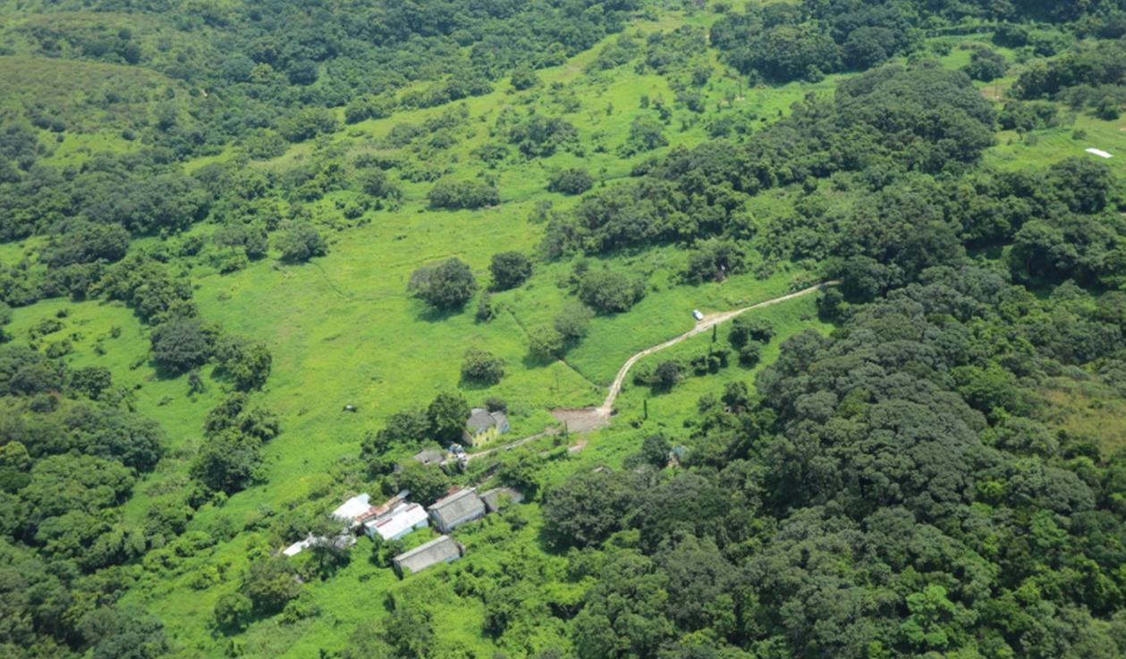 新一輪鄉(xiāng)郊保育資助計(jì)劃批5項(xiàng)目 涉資3900萬(wàn)元