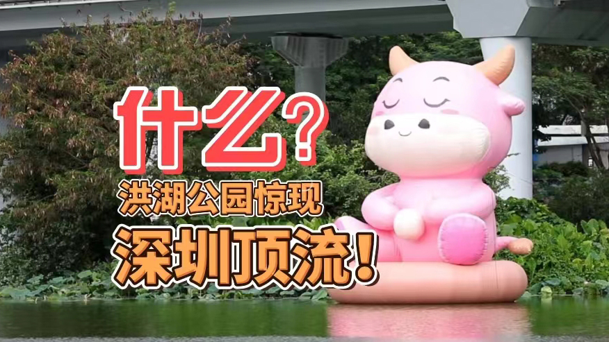「羅犇犇」萌動(dòng)全城 深圳羅湖區(qū)洪湖公園「荷」你有約