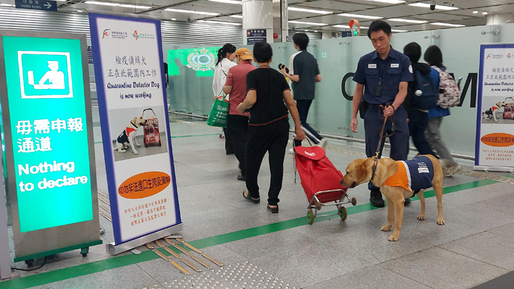 海關(guān)聯(lián)同食安中心執(zhí)法 發(fā)現(xiàn)15宗非法攜帶生肉家禽等受規(guī)管食物入境
