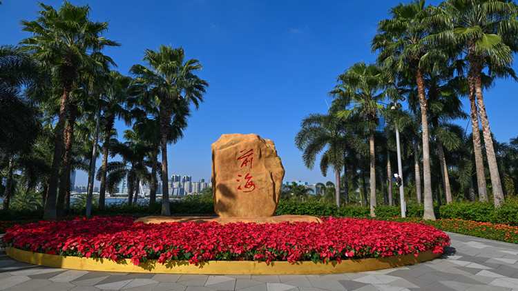 深圳前海夢工場已孵化1195個創(chuàng)業(yè)團隊