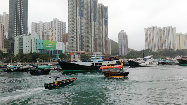 漁護(hù)署將於7月8日至26日為漁民狗隻注射狂犬病疫苗